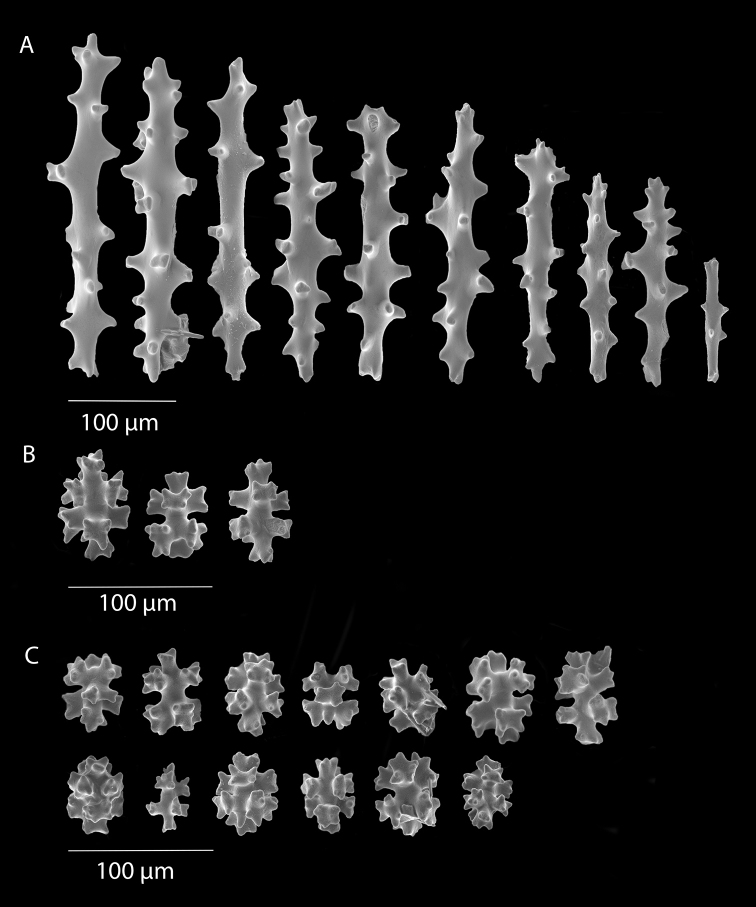 Figure 5.