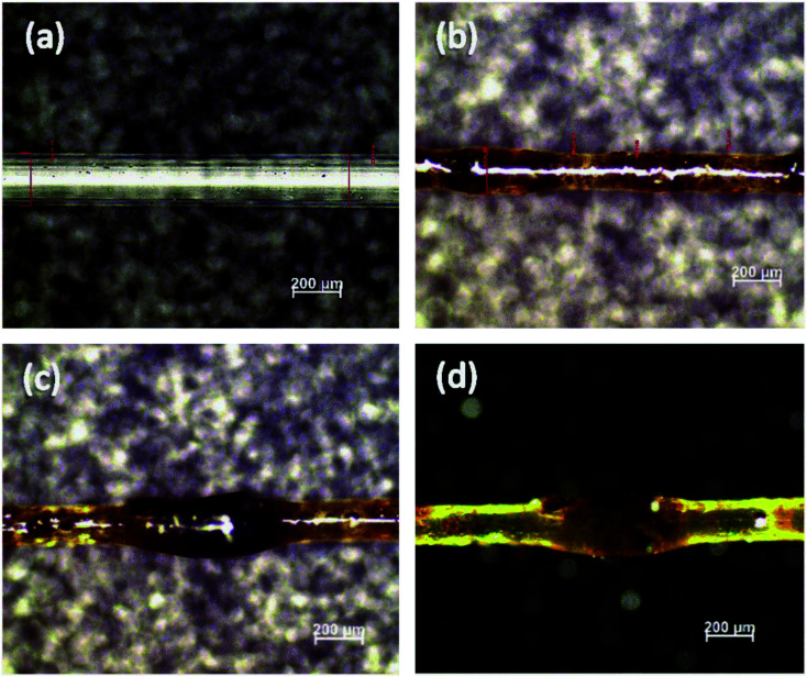 Fig. 13