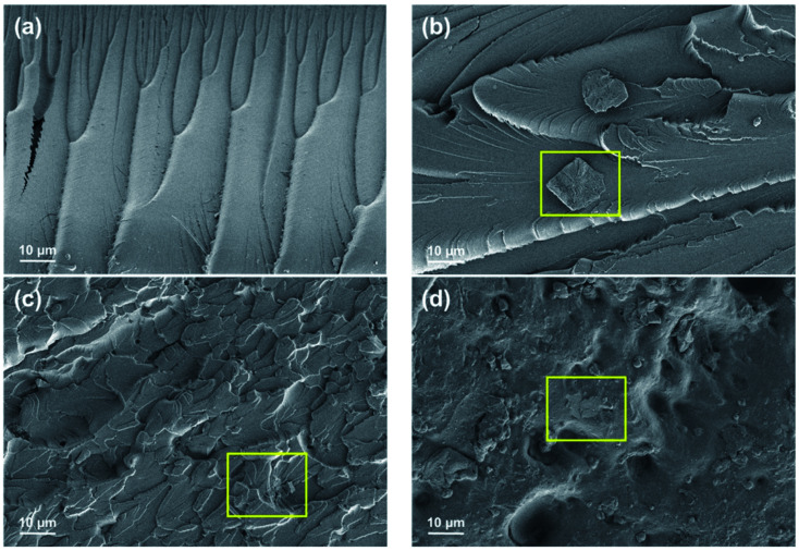 Fig. 12