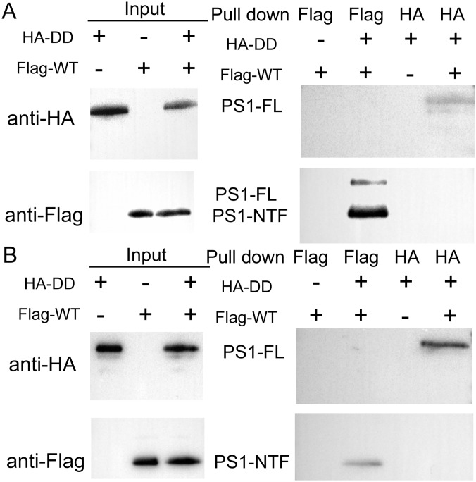 Fig. S3.