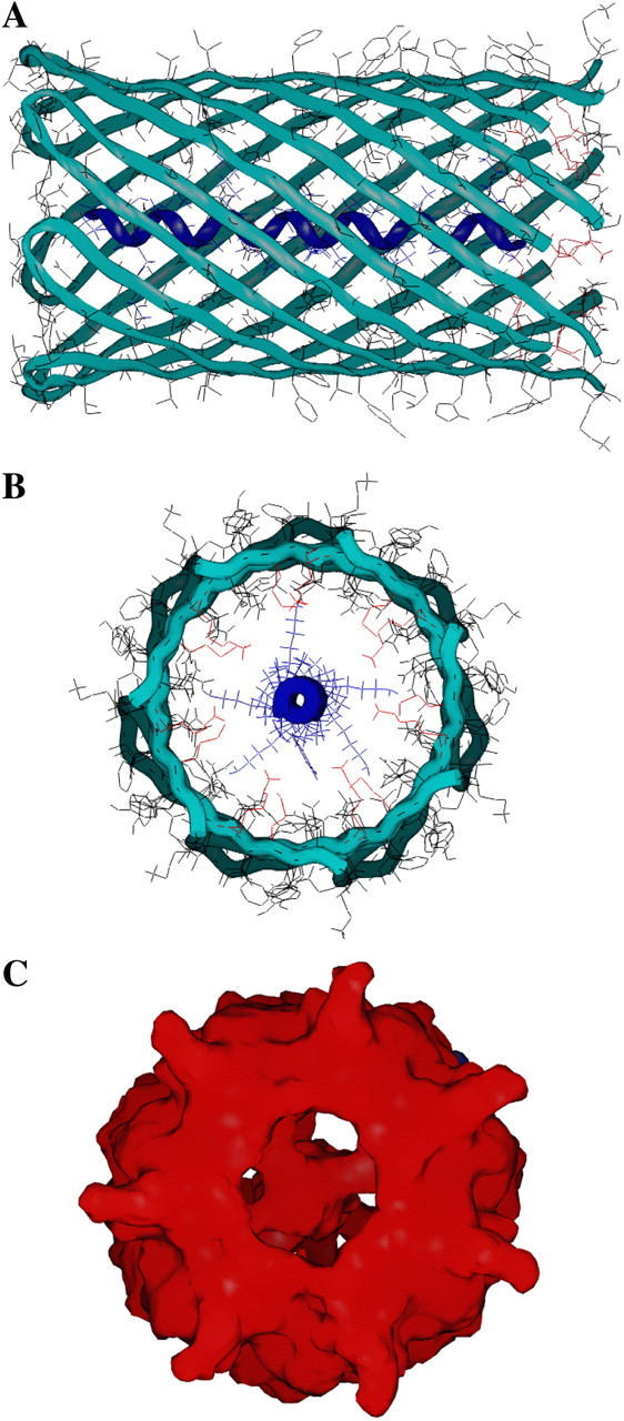 FIGURE 2