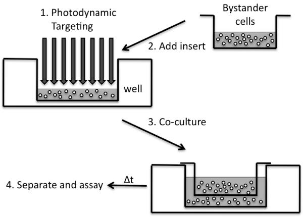 FIG. 1