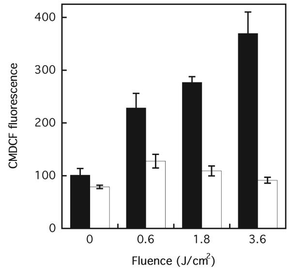 FIG. 5