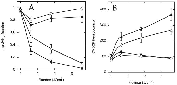 FIG. 6