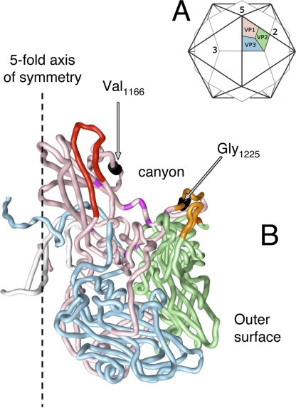 Fig. 4.