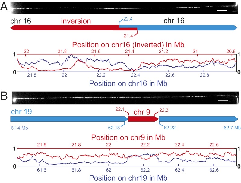 Fig. 3.