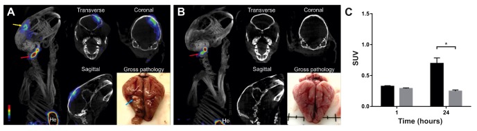 Fig. 4.