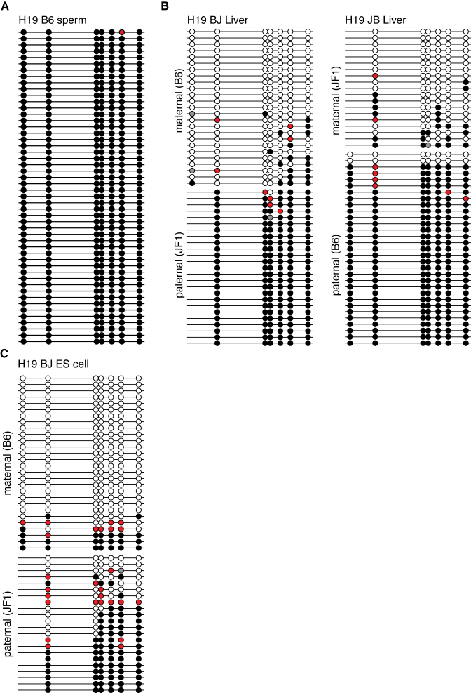 Figure 6.