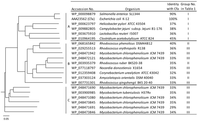 FIGURE 1