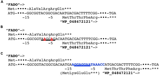 FIGURE 3