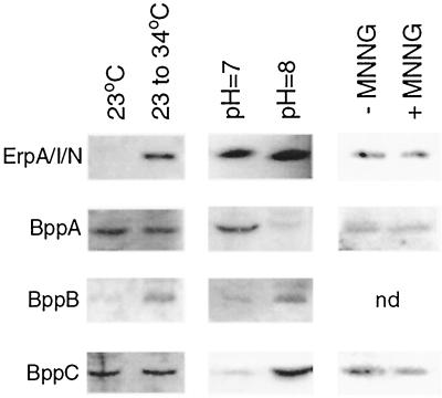 FIG. 5.