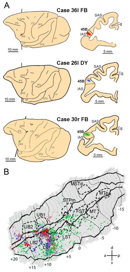 Figure 10