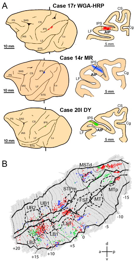 Figure 9