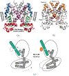 Figure 1: