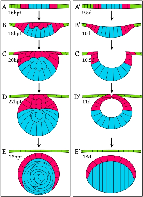 Figure 7.