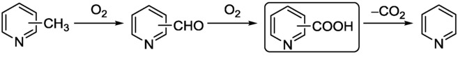 Scheme 10