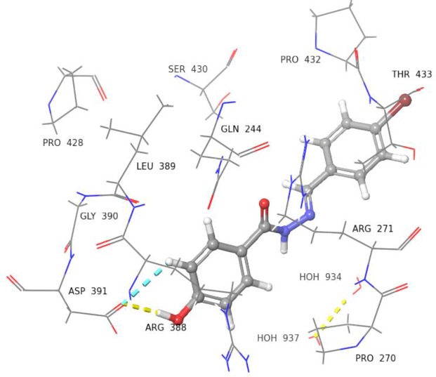 Fig 10