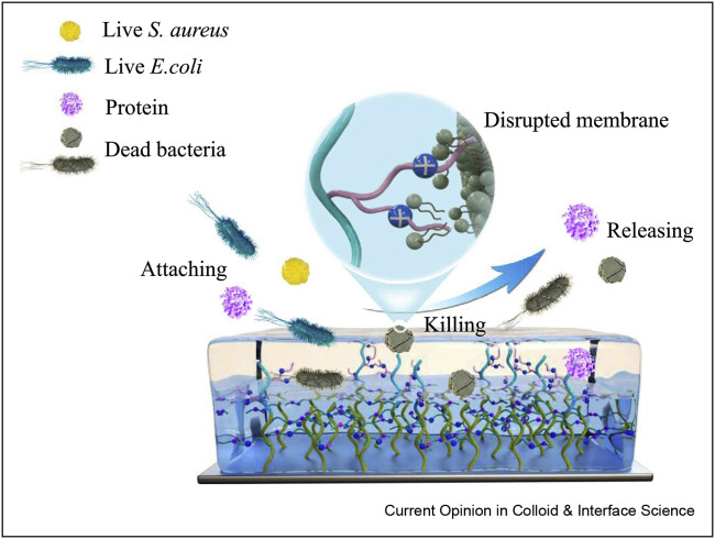 Figure 3