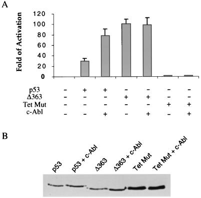 FIG. 6