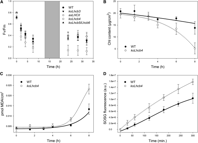 Figure 5.