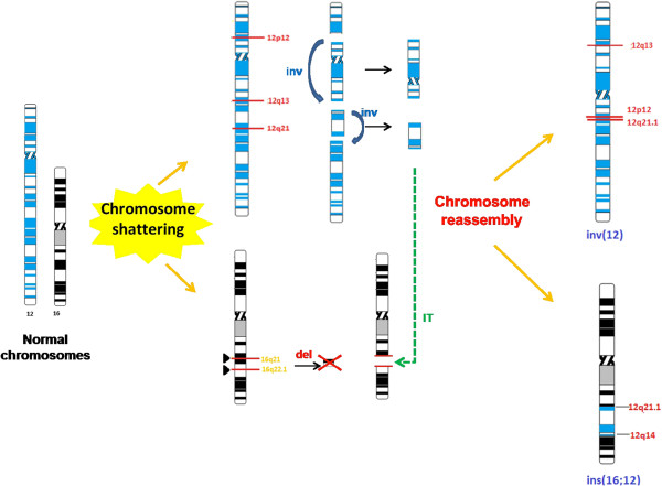 Figure 7