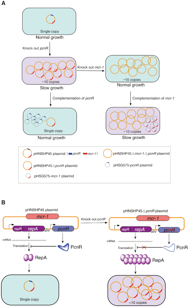 Figure 7.