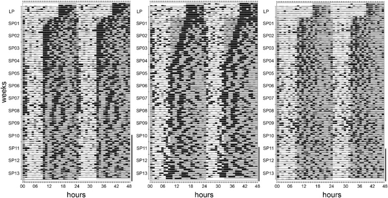 FIGURE 9