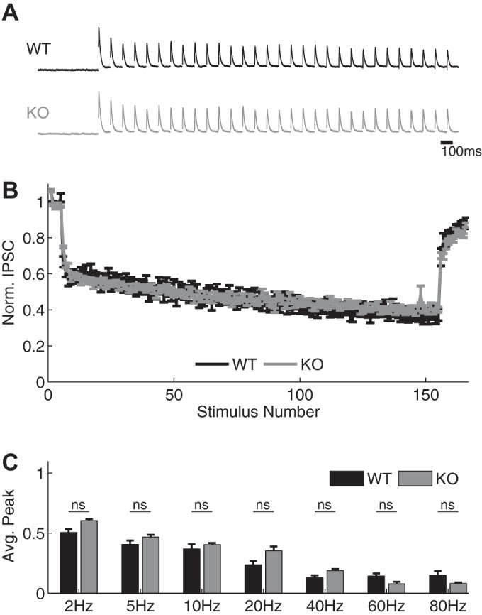 Fig. 8.