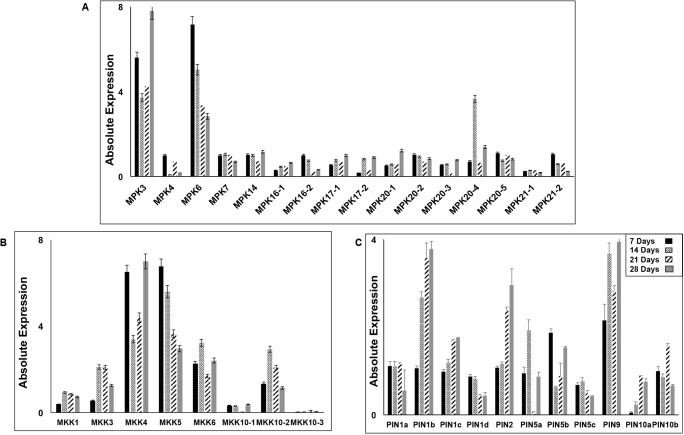 Fig 3