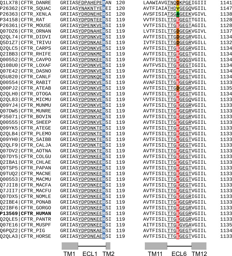 Figure 2—figure supplement 2.