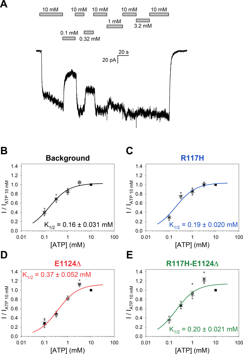 Figure 3—figure supplement 1.