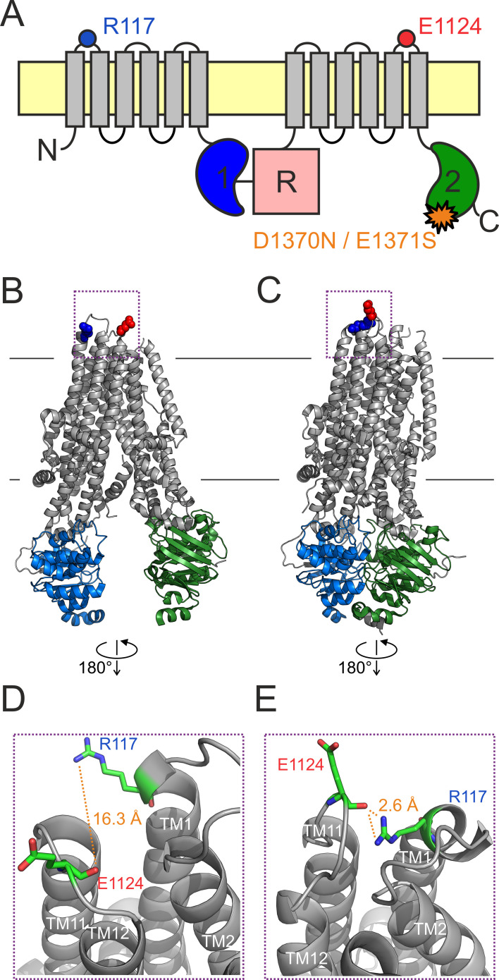 Figure 1.