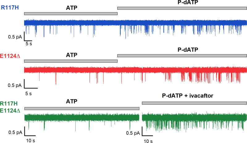 Figure 3—figure supplement 3.