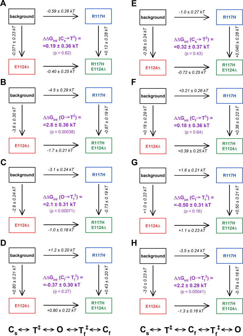 Figure 5—figure supplement 1.