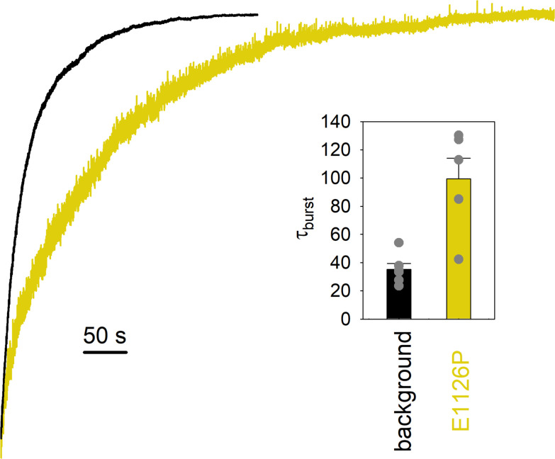 Figure 2—figure supplement 1.