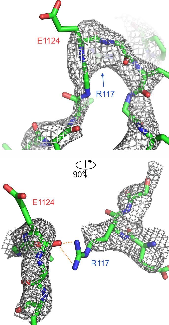 Figure 1—figure supplement 1.