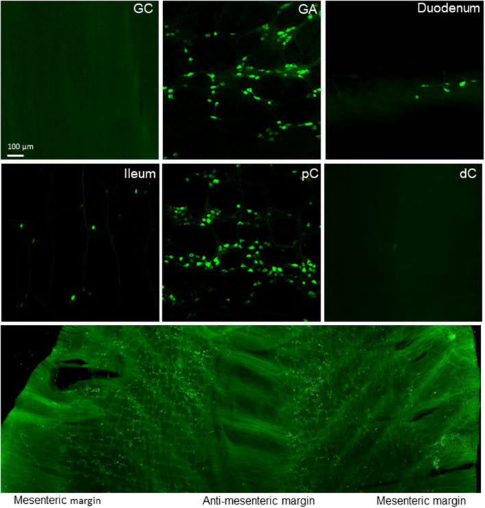 Figure 15