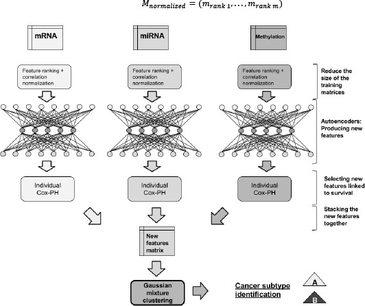 Figure 1