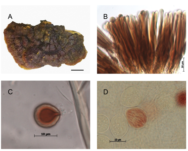 Figure 9.