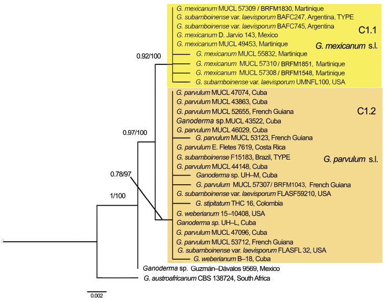 Figure 2.