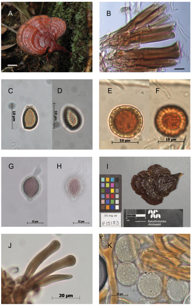 Figure 4.