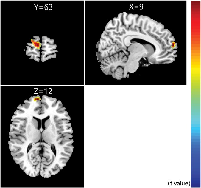 Fig. 4.