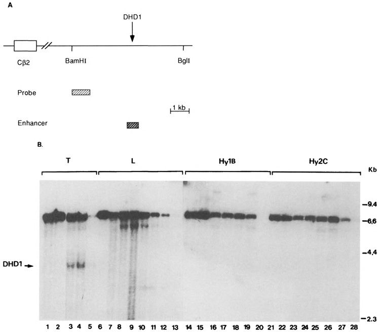 FIG. 5