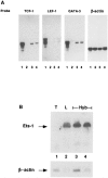 FIG. 8