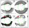 Fig. 9