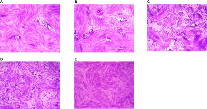 Figure 2