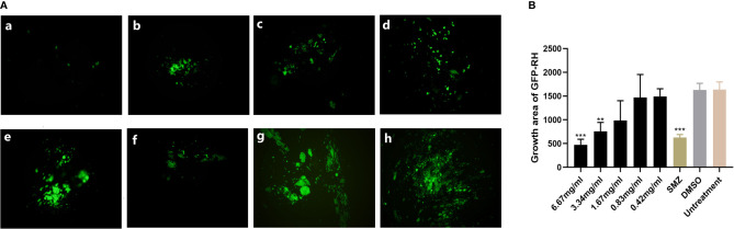 Figure 3