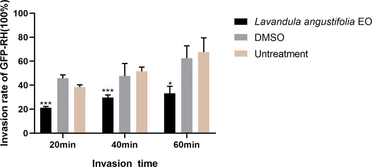 Figure 4