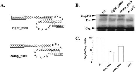 FIG. 5.