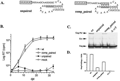 FIG. 3.